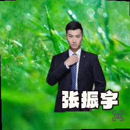 张振宇