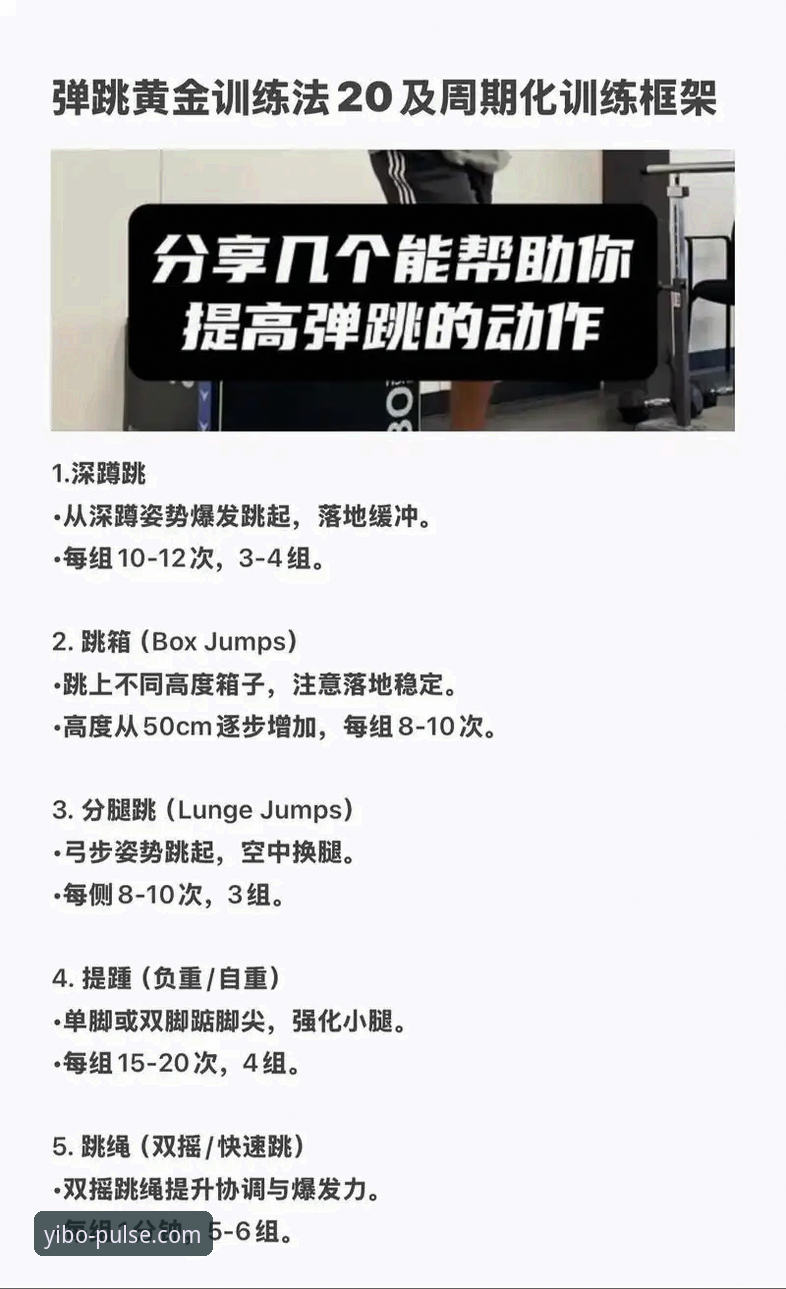 新手必读：yibo亿博体育2026使用心得，资深用户教你如何玩转体育娱乐